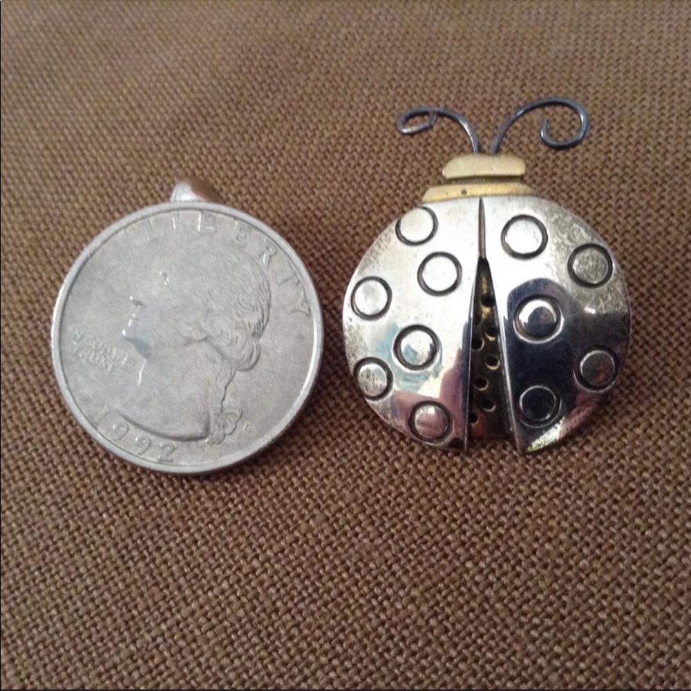 Ladybug Pin 1”